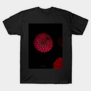 The Round Red Dahlia T-Shirt